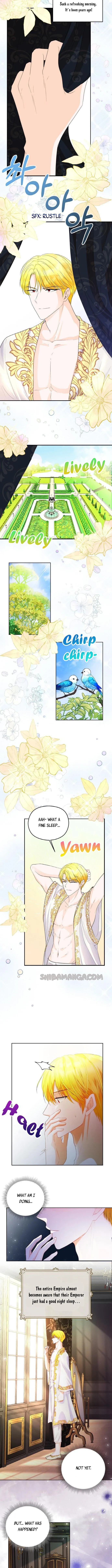 After the Insomnia Was Cured, the Tyrant Became Obsessive Chapter 4 page 4