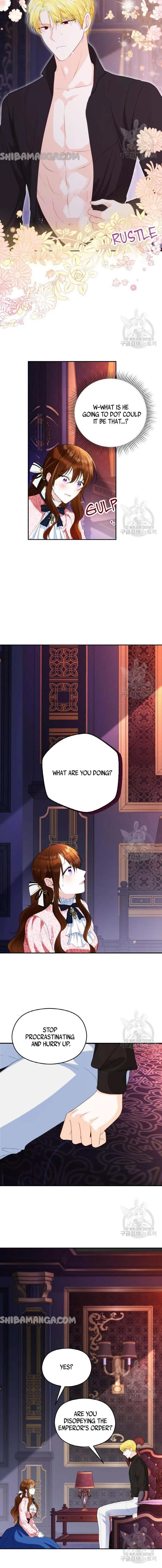 After the Insomnia Was Cured, the Tyrant Became Obsessive Chapter 5 page 12