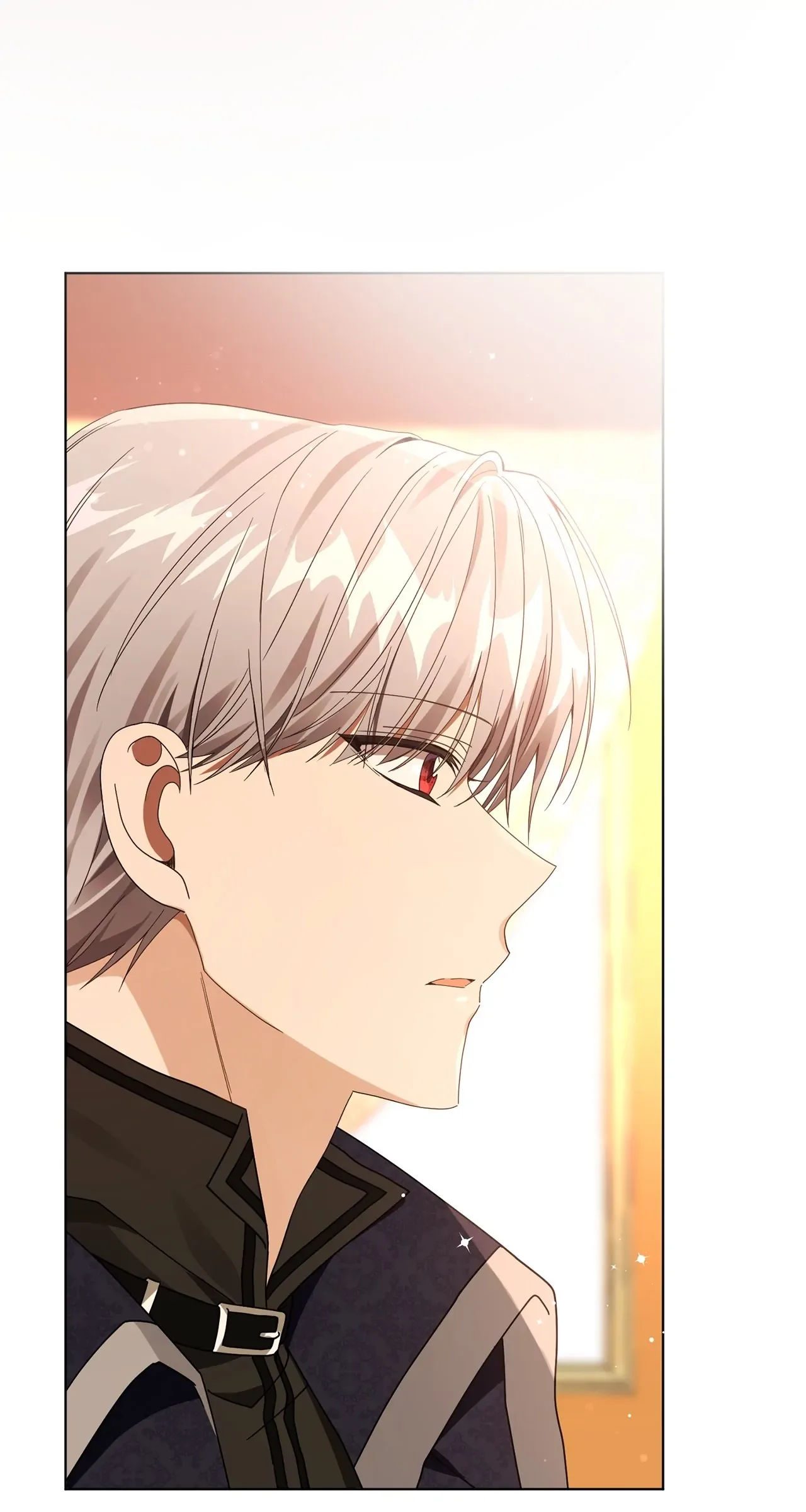 The Blackened Second Male Lead’s Wife Series Chapter 33 page 49