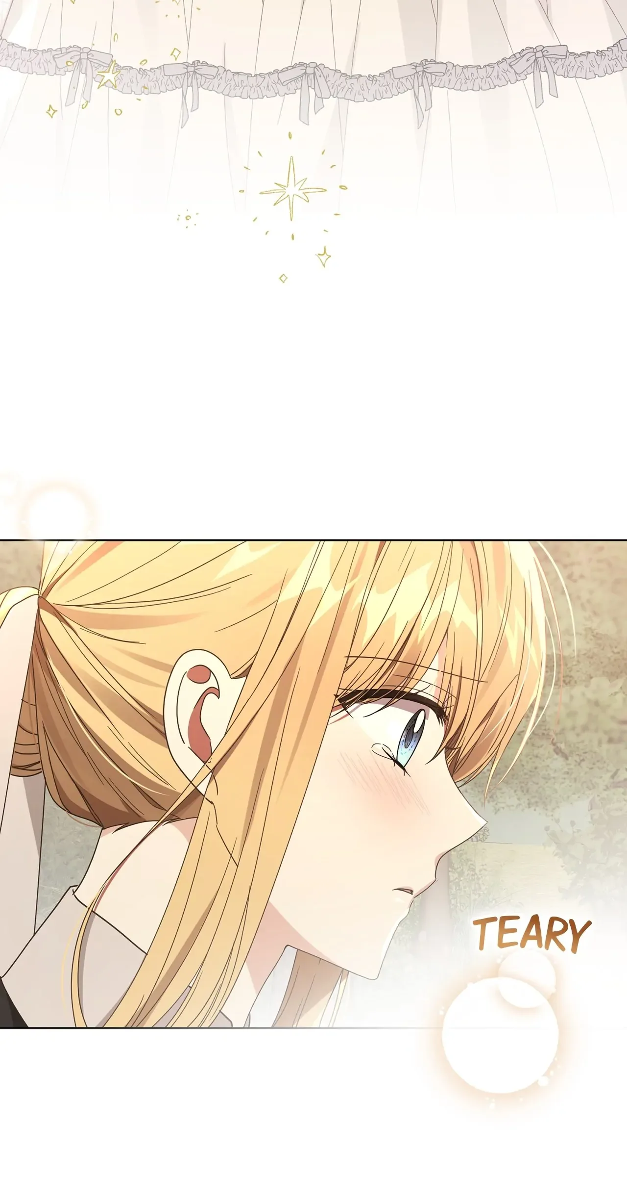 The Blackened Second Male Lead’s Wife Series Chapter 36 page 42