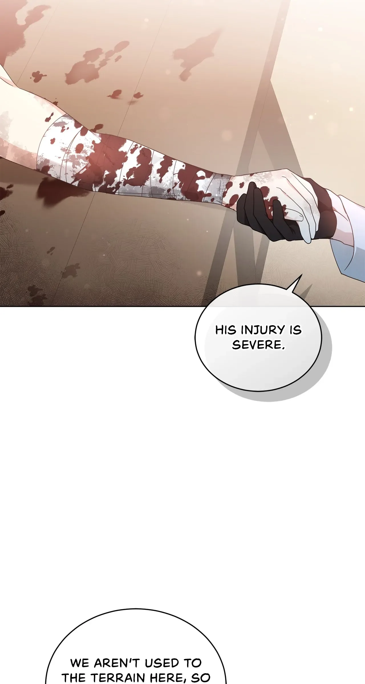 The Blackened Second Male Lead’s Wife Series Chapter 49 page 41