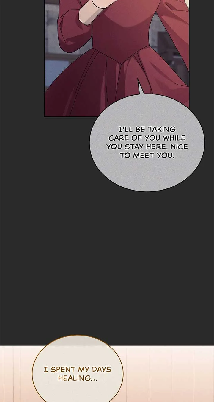 The Blackened Second Male Lead’s Wife Series Chapter 62 page 47