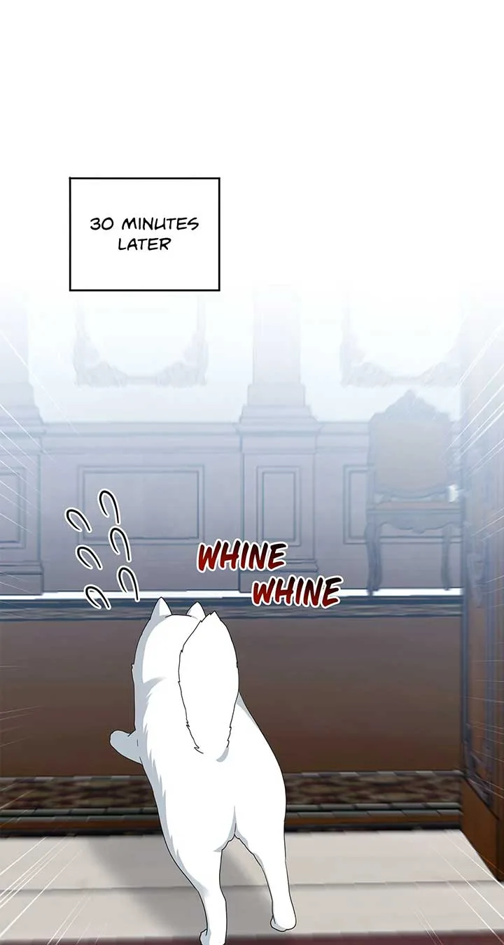 The Blackened Second Male Lead’s Wife Series Chapter 67 page 50