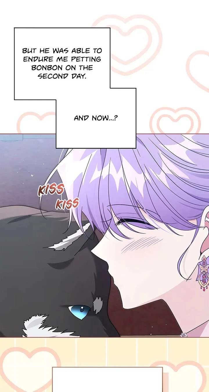 The Blackened Second Male Lead’s Wife Series Chapter 67 page 70