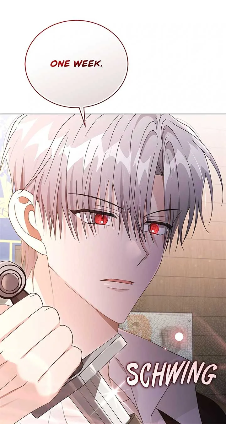 The Blackened Second Male Lead’s Wife Series Chapter 87 page 67