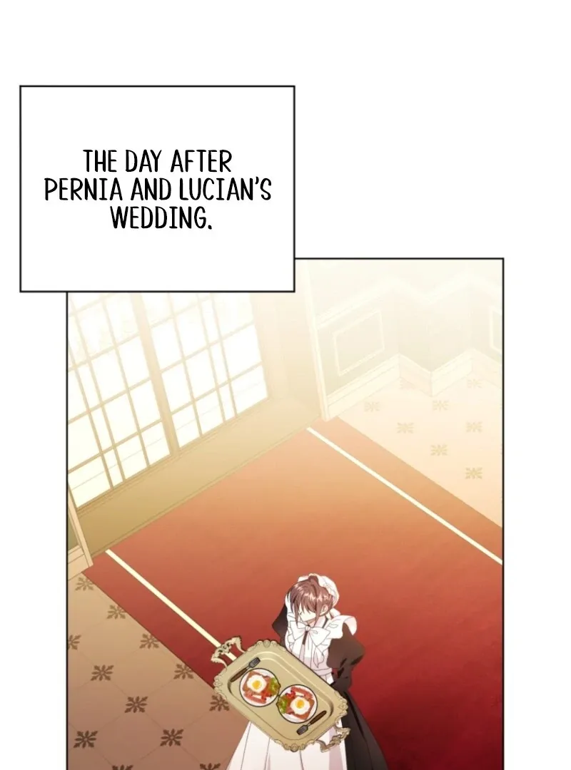 The Blackened Second Male Lead’s Wife Series Chapter 99 page 3