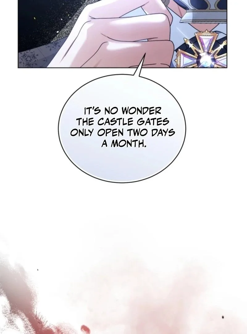 The Blackened Second Male Lead’s Wife Series Chapter 100 page 29