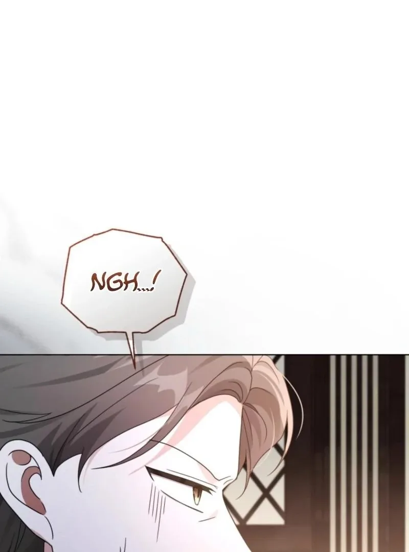 The Blackened Second Male Lead’s Wife Series Chapter 100 page 43