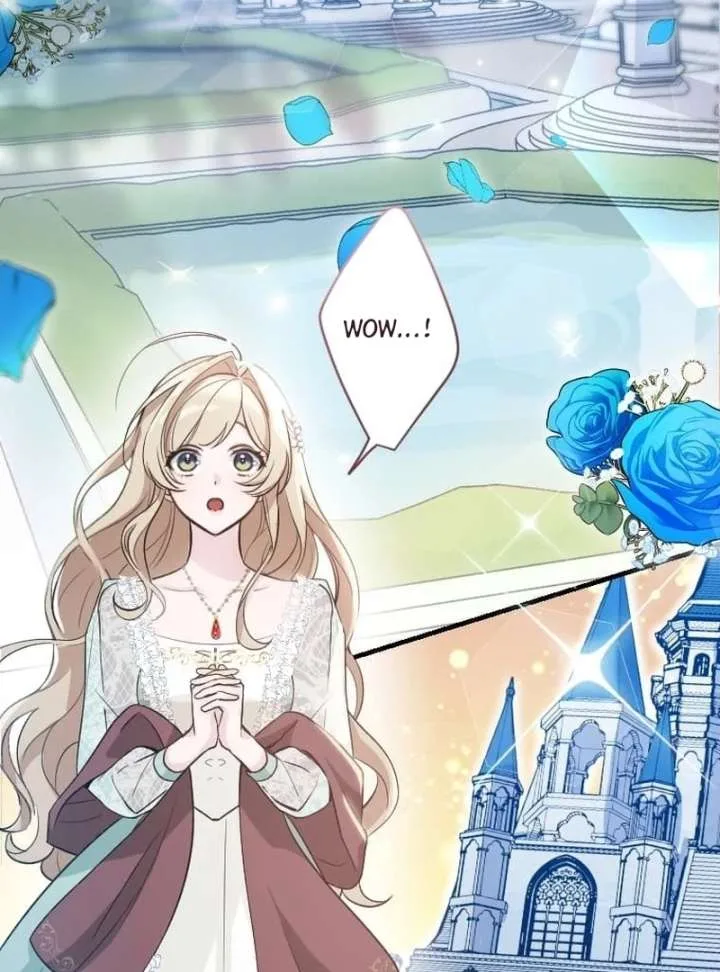 The Contract Bride Who Melted the Marquis’s Heart Chapter 5 page 12