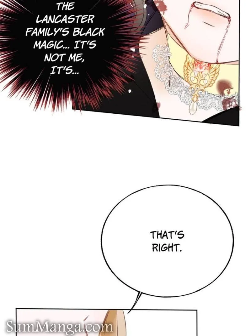 The Corrupted Witch Has No Choice But to Become a Villain Chapter 2 page 48