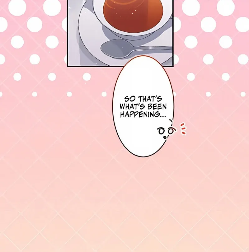 The Contract Bride Who Melted the Marquis’s Heart Chapter 9 page 72