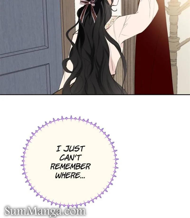 The Corrupted Witch Has No Choice But to Become a Villain Chapter 9 page 11