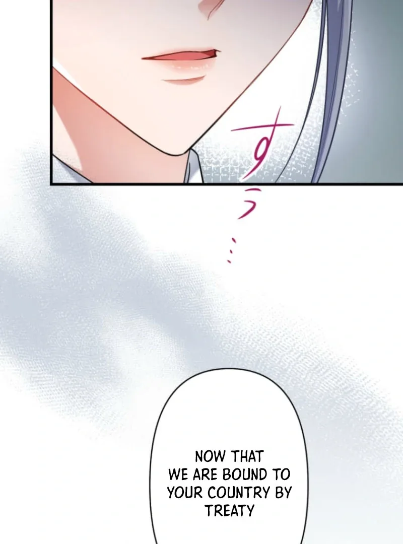 The Desire of the Princess from a Fallen Kingdom Chapter 5 page 42