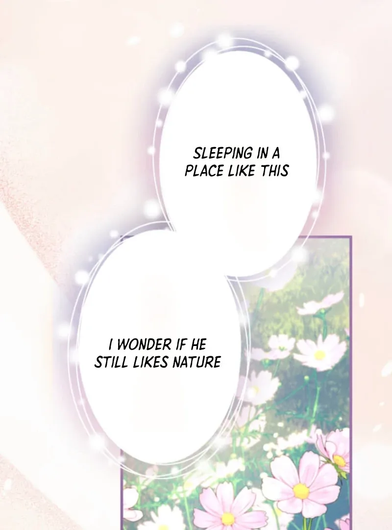 The Desire of the Princess from a Fallen Kingdom Chapter 5 page 81