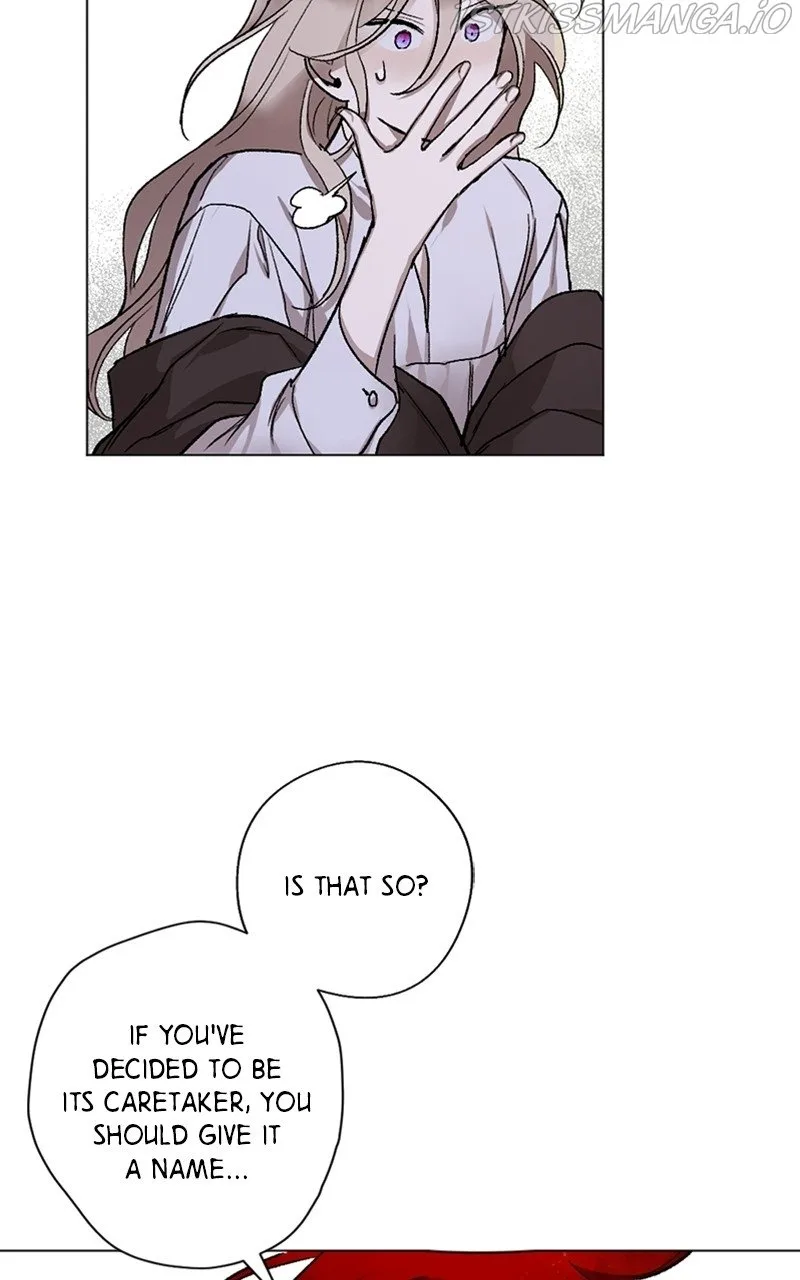 The Demon King’s Confession Chapter 11 page 14