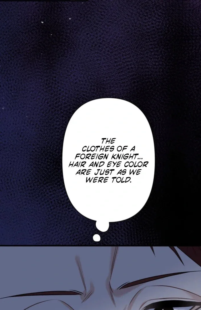 The Desire of the Princess from a Fallen Kingdom Chapter 12 page 93