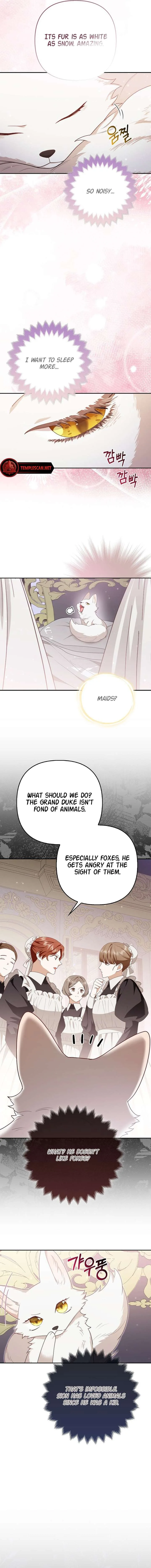 The Duke and The Fox Princess Chapter 4 page 4