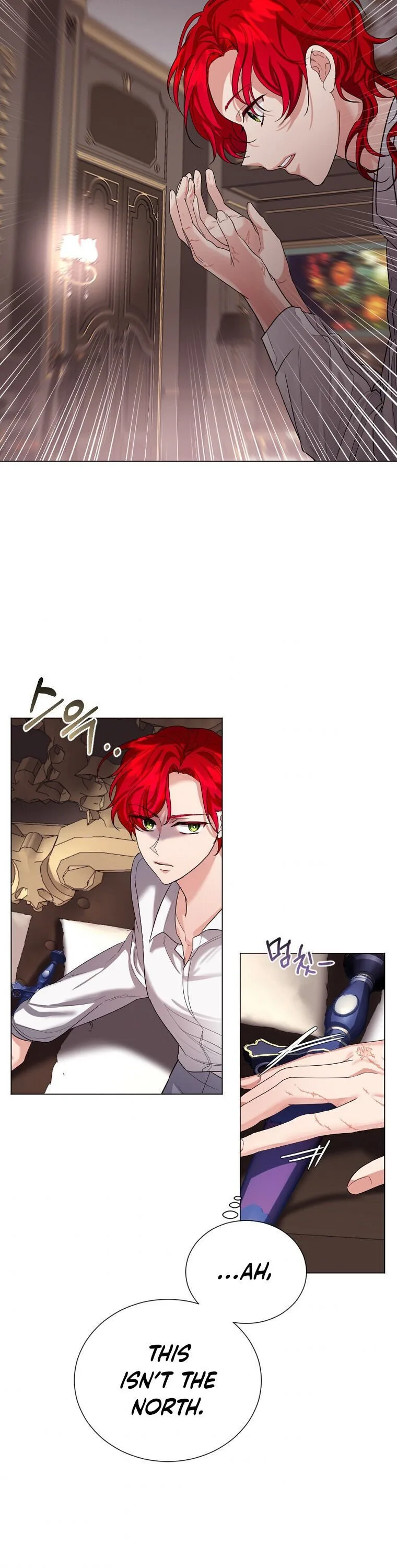 The Duke of Ashleyan’s Contractual Marriage Chapter 12 page 14