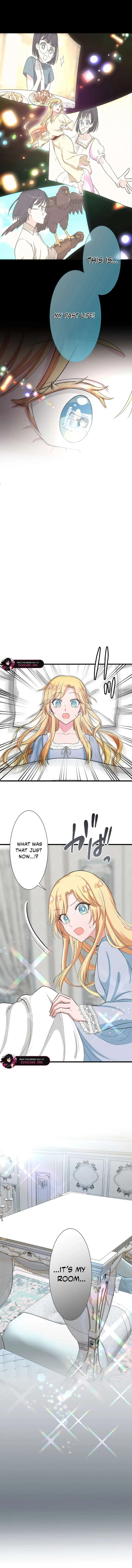 The Fake Princess Doesn’t Want to Die, So She Founds a Nation Chapter 1 page 17