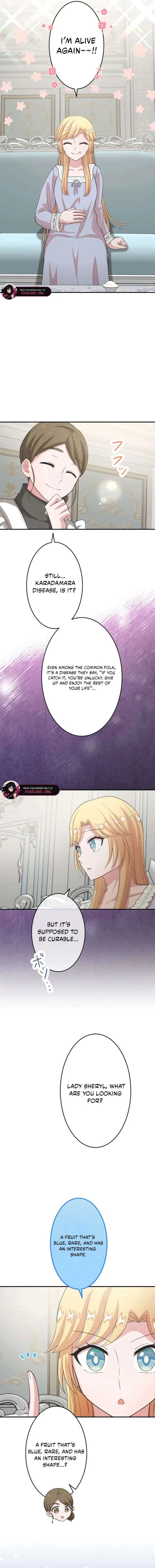 The Fake Princess Doesn’t Want to Die, So She Founds a Nation Chapter 9 page 7