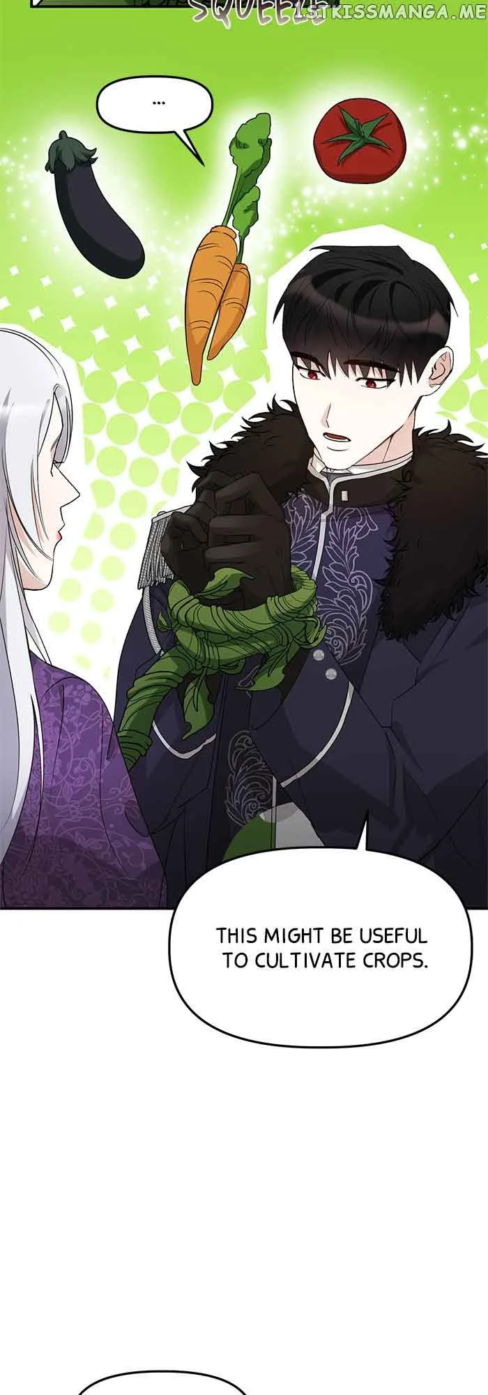The Fake Duchess In Distresss Chapter 12 page 7