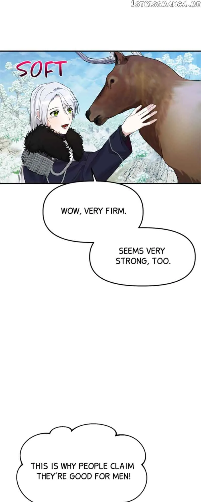 The Fake Duchess In Distresss Chapter 13 page 12