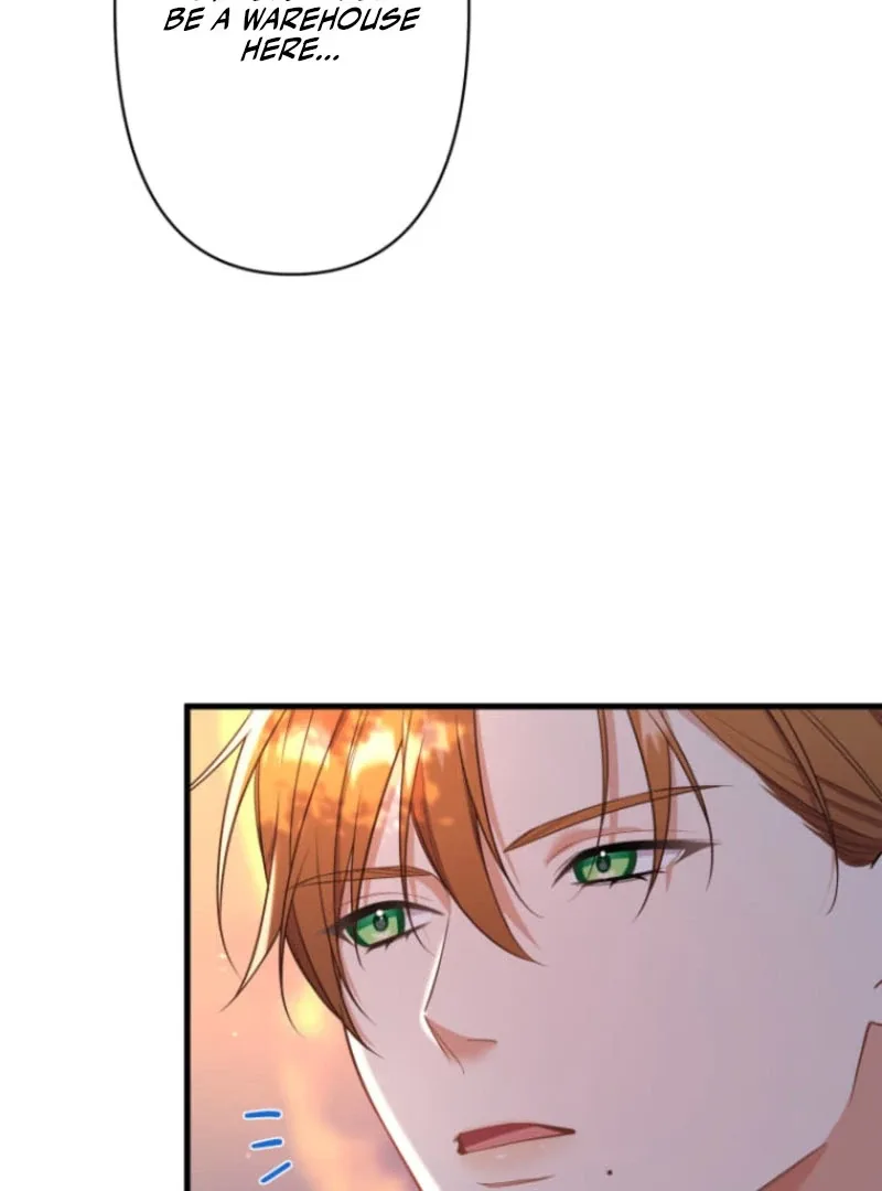 The Desire of the Princess from a Fallen Kingdom Chapter 17 page 51