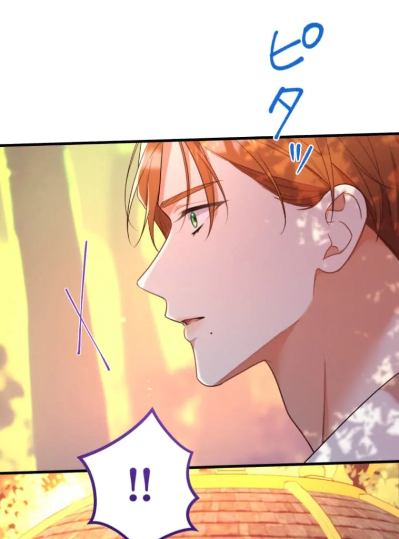 The Desire of the Princess from a Fallen Kingdom Chapter 17 page 55