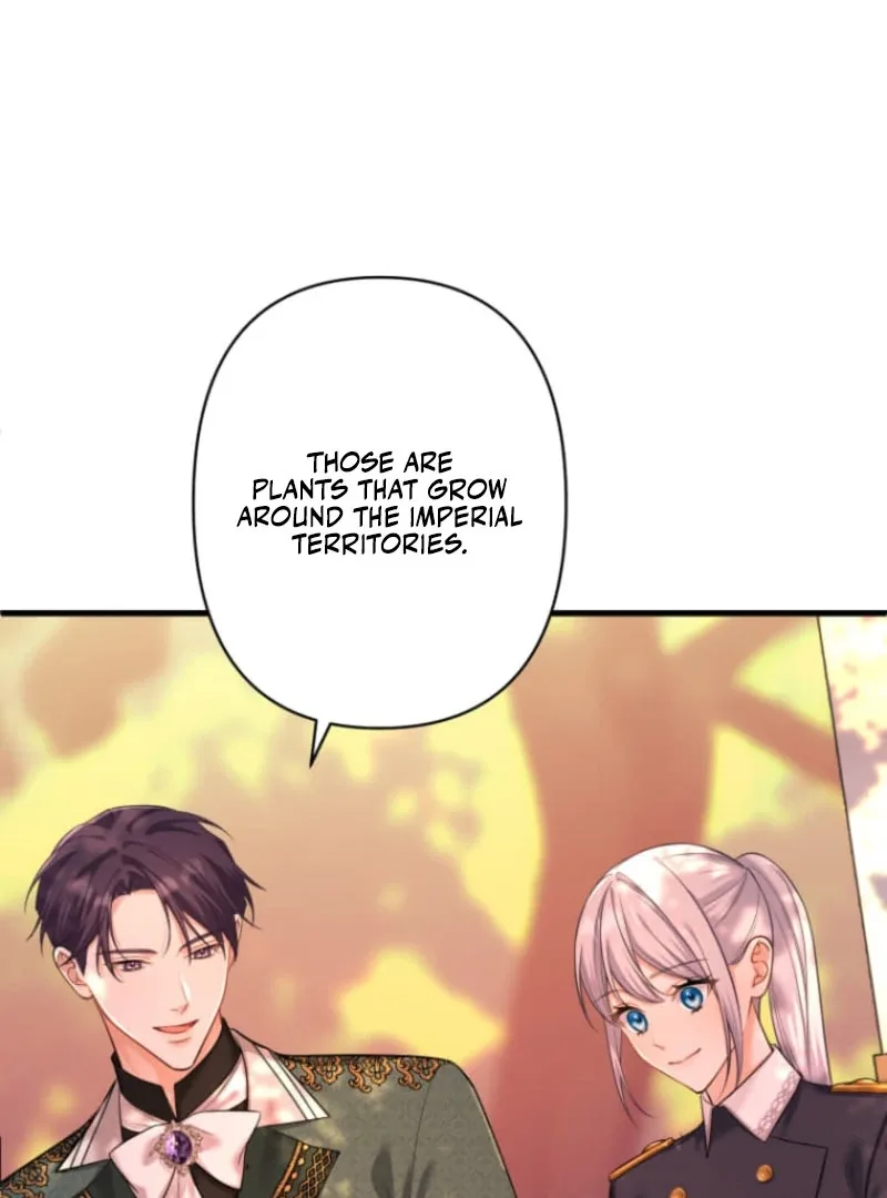 The Desire of the Princess from a Fallen Kingdom Chapter 17 page 68