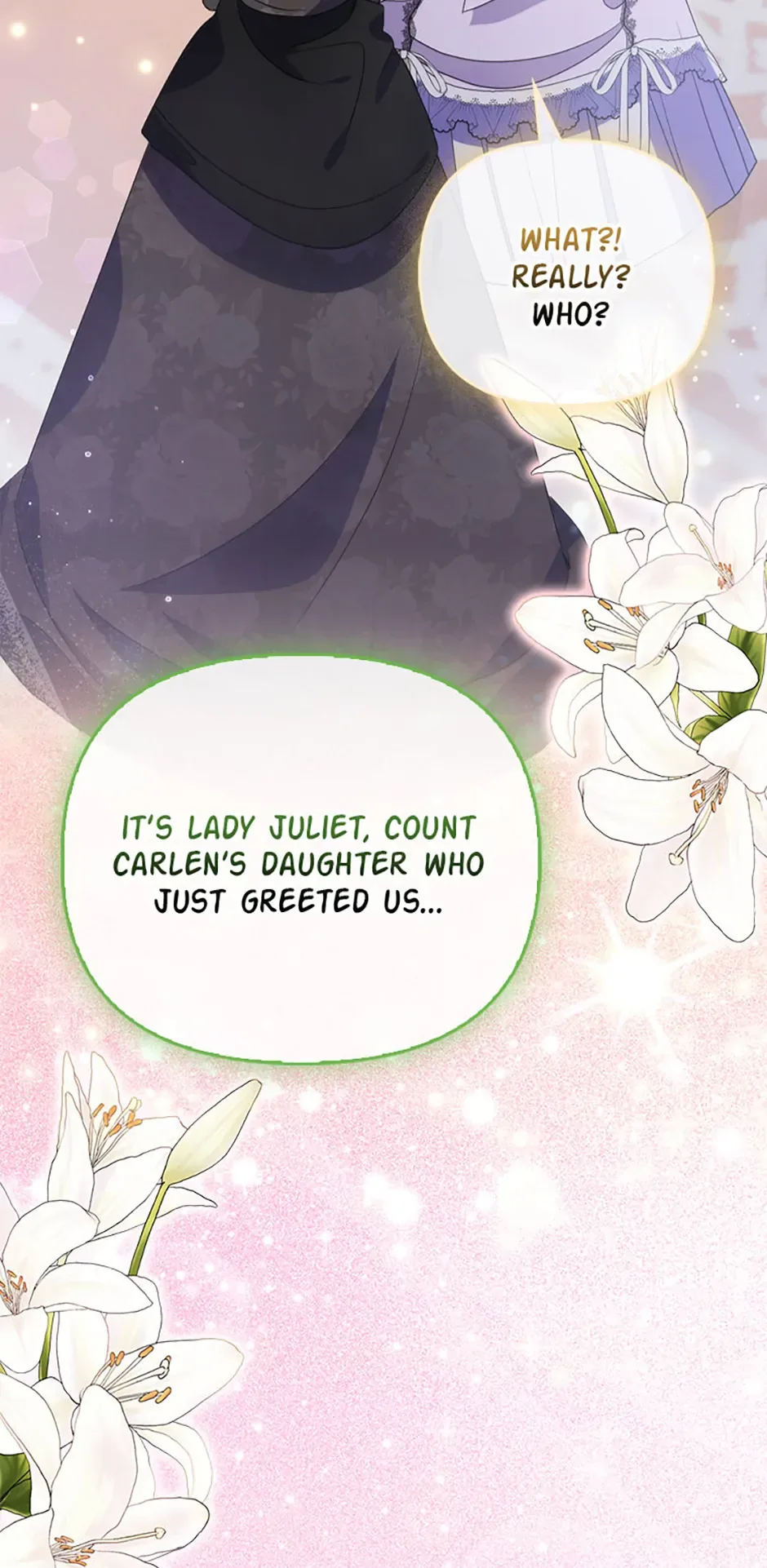 The Fake Rides in a Flower Kiln Chapter 17 page 30
