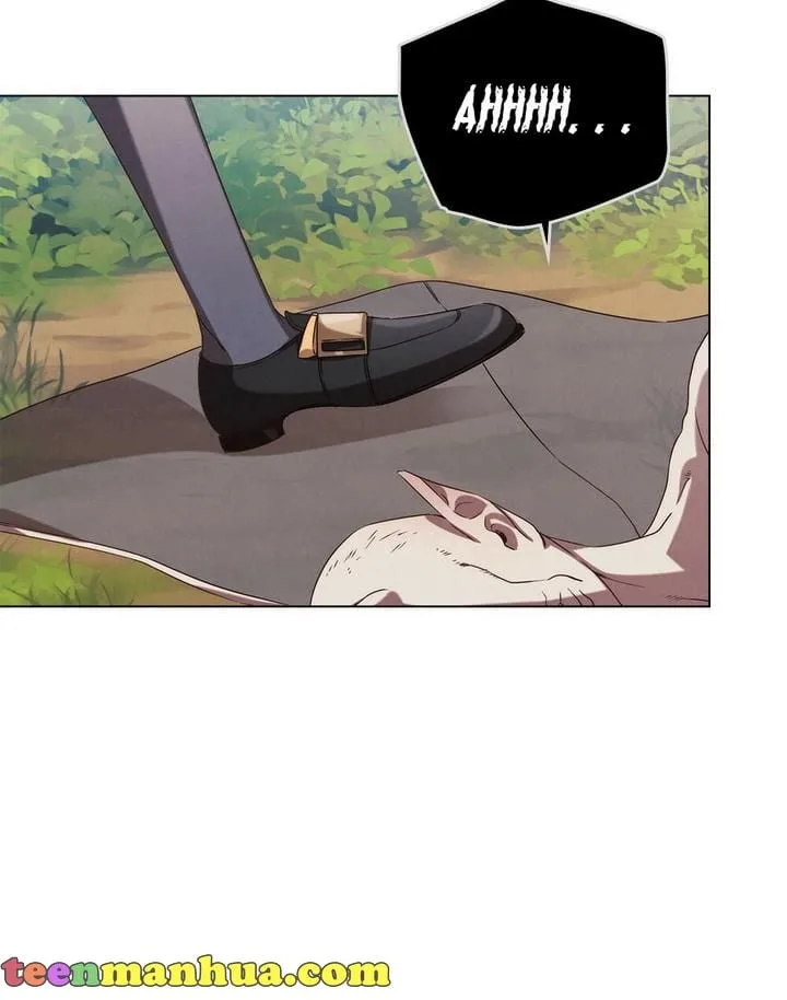 The golden dawn light will shine for you Chapter 5 page 37