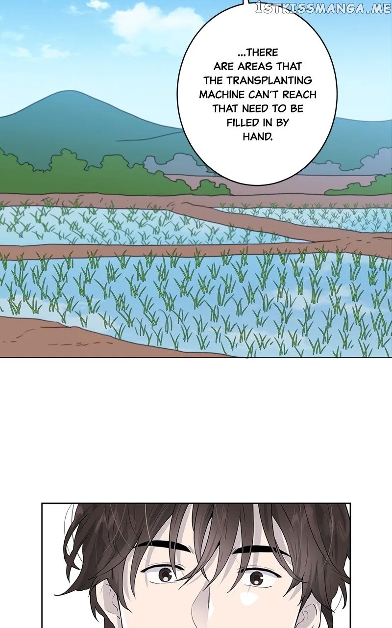 The Goddess’s Guide to Farming Chapter 10 page 8