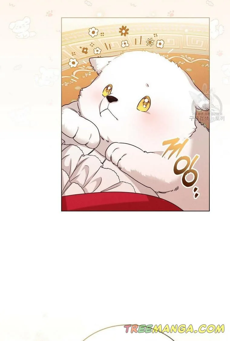 The golden dawn light will shine for you Chapter 10 page 45