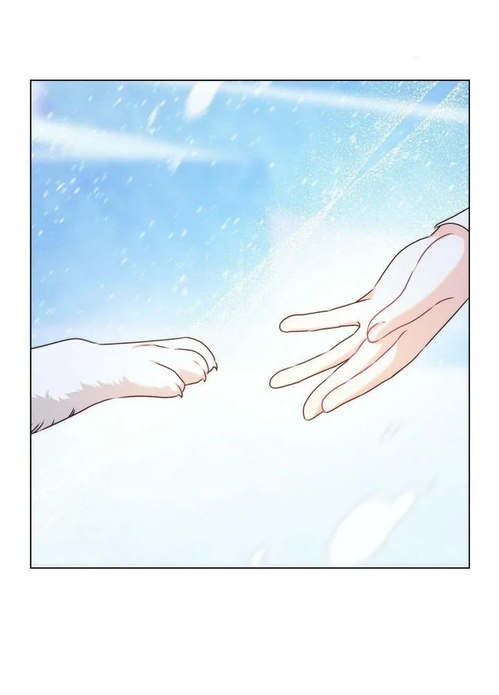 The golden dawn light will shine for you Chapter 12 page 64