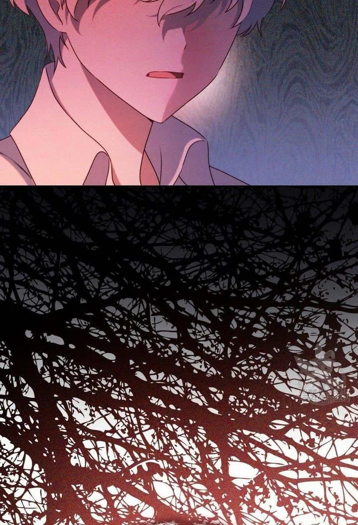 The golden dawn light will shine for you Chapter 13 page 45