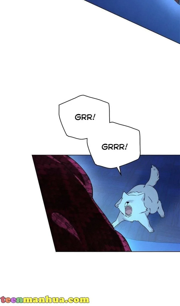 The golden dawn light will shine for you Chapter 15 page 41