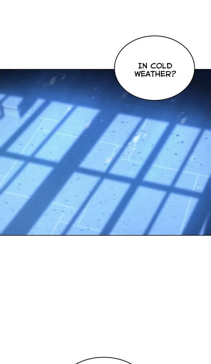 The golden dawn light will shine for you Chapter 16 page 5