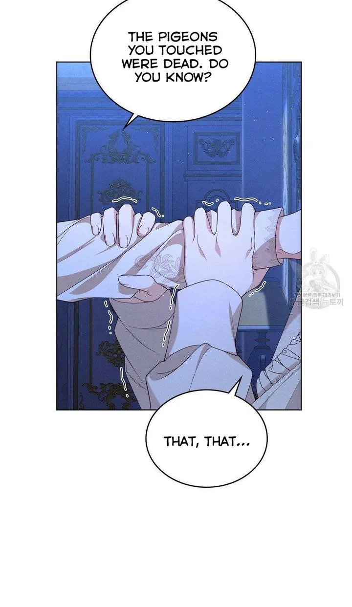 The golden dawn light will shine for you Chapter 16 page 6