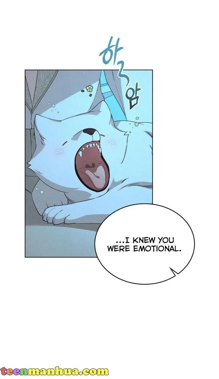 The golden dawn light will shine for you Chapter 16 page 47