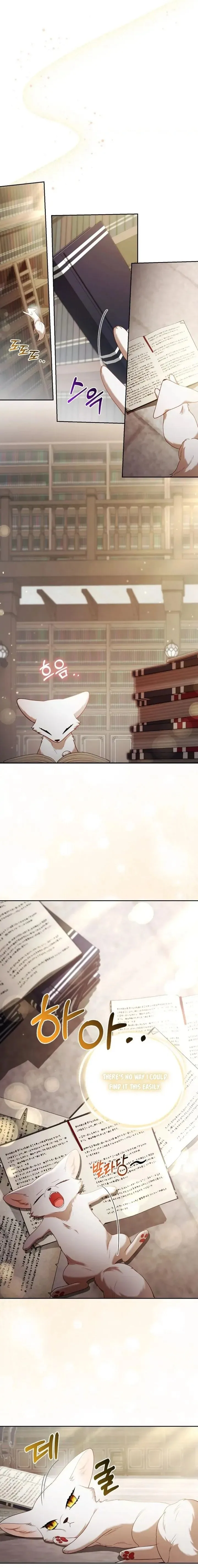 The Duke and The Fox Princess Chapter 18 page 6