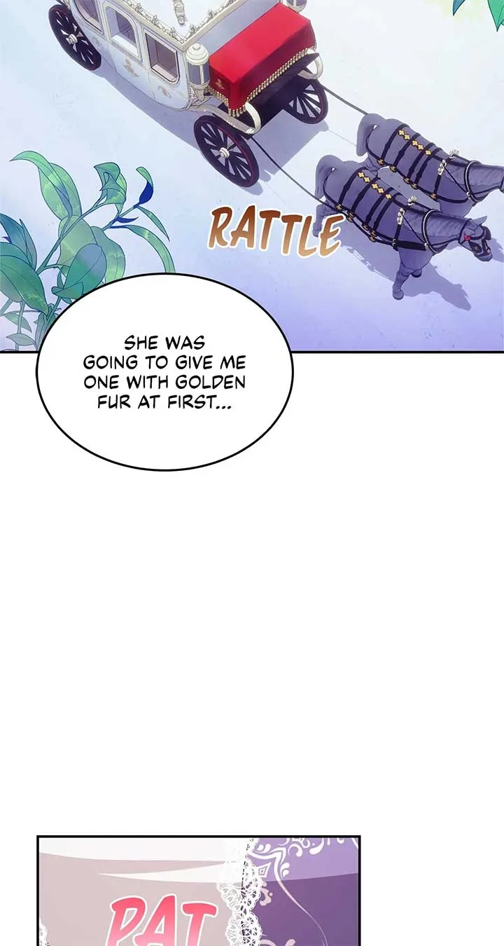 The Duke And Duchess Divorce Circumstances Chapter 18 page 5