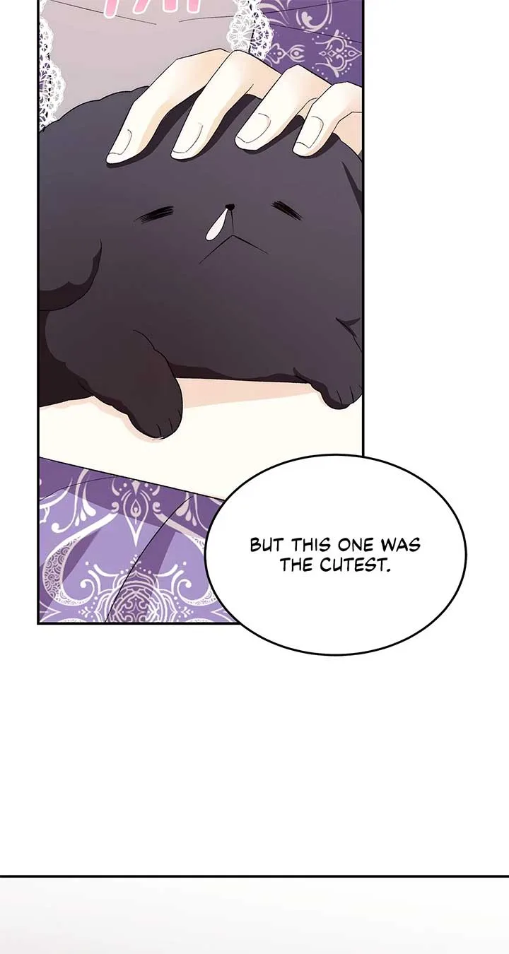 The Duke And Duchess Divorce Circumstances Chapter 18 page 6