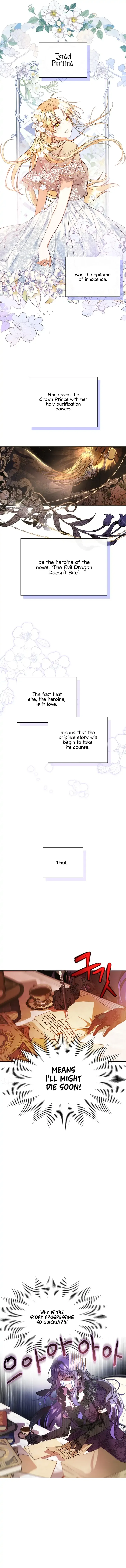 The Heroine Had an Affair with My Fiance Chapter 1 page 5