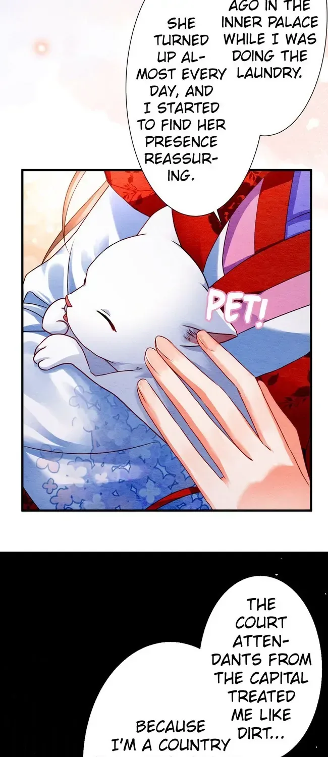 The Imperial Court Maiden’s Curse Chapter 8 page 24