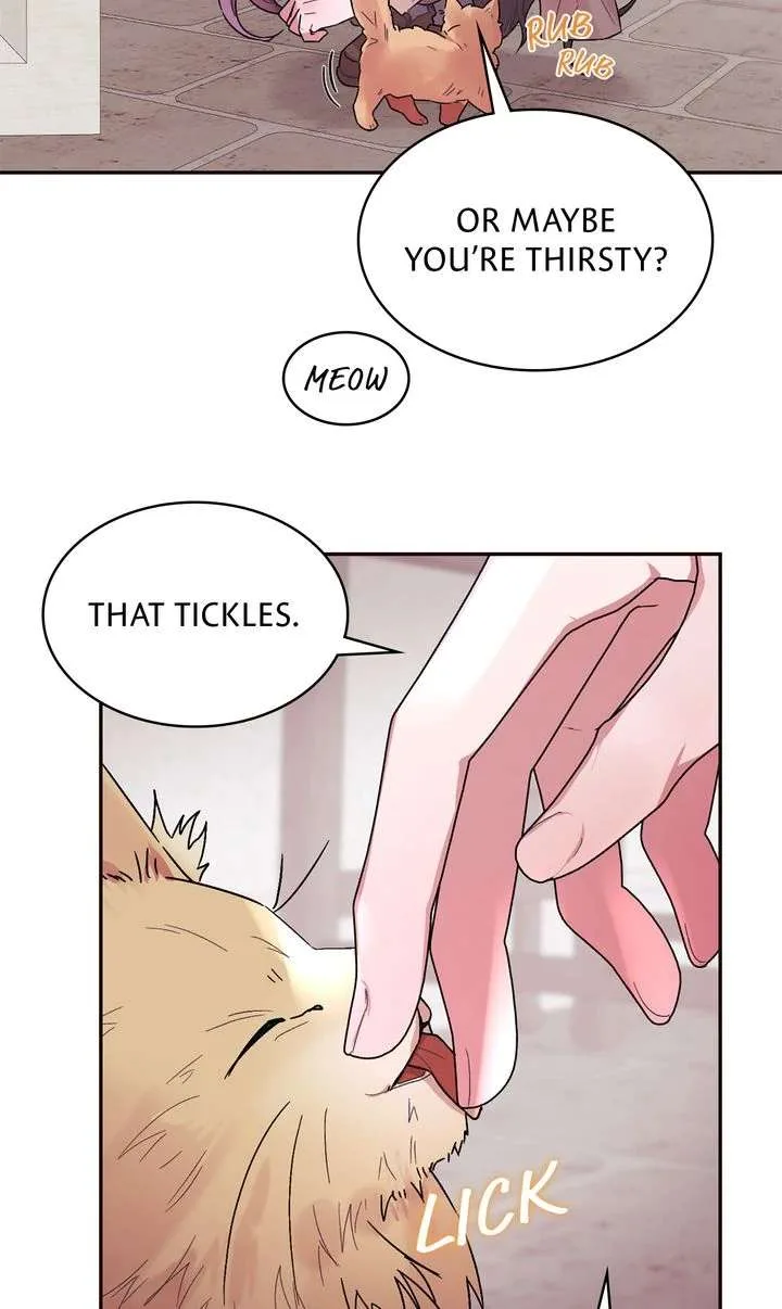 The House of Blind Sheep (Official) Chapter 13 page 14