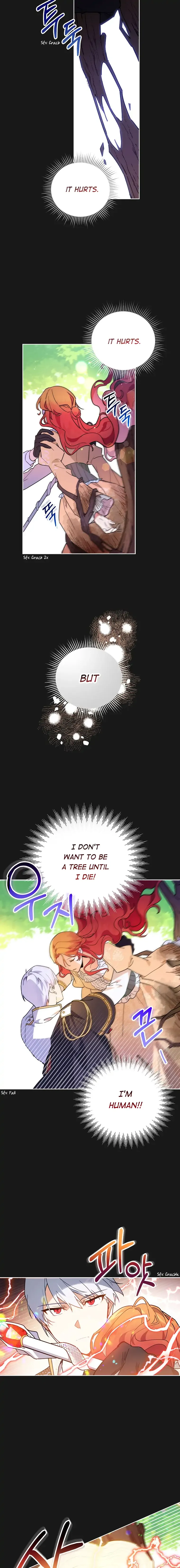 The Little Lord Who Makes Flowers Bloom Chapter 1 page 12