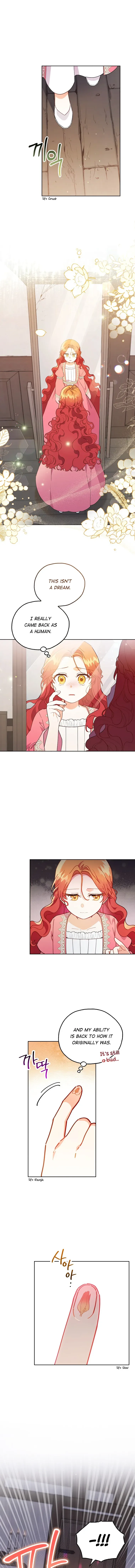 The Little Lord Who Makes Flowers Bloom Chapter 2 page 13