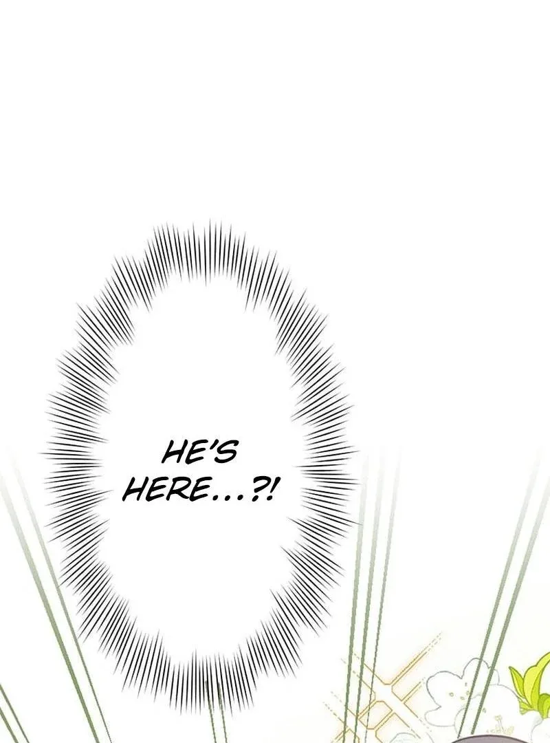 The Loner Girl Who Holds the Heirs’ Fate Chapter 2 page 4