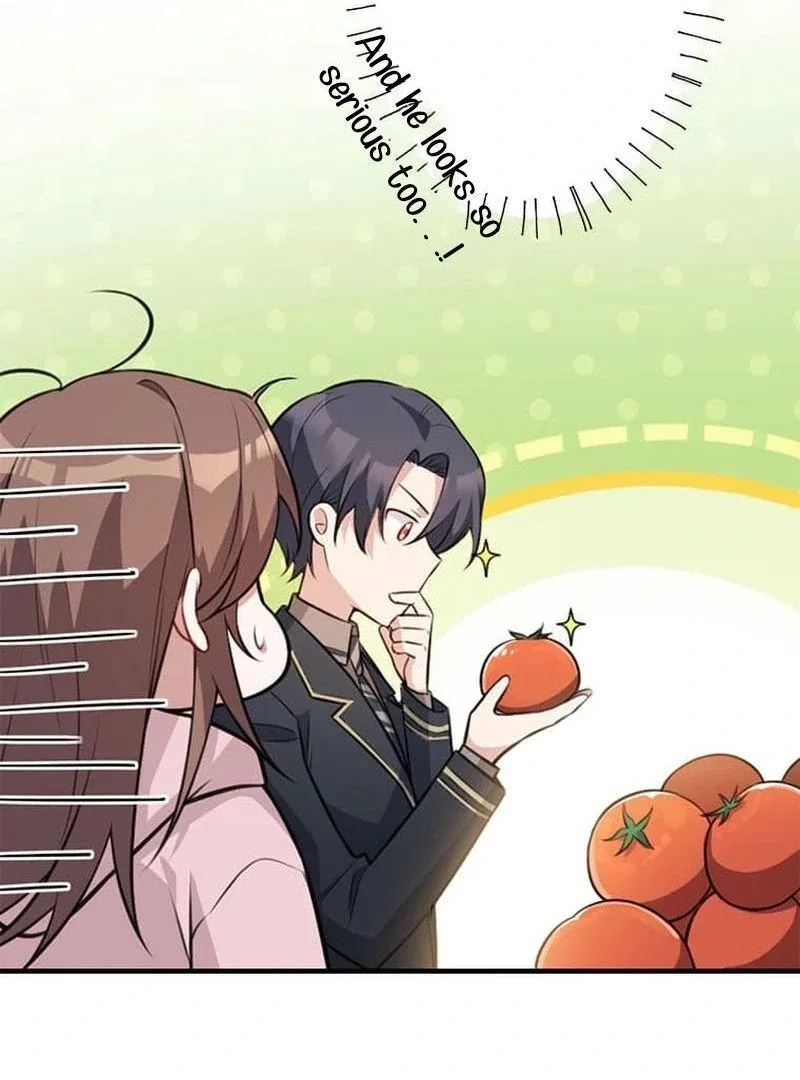 The Loner Girl Who Holds the Heirs’ Fate Chapter 2 page 13