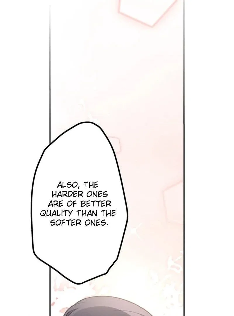 The Loner Girl Who Holds the Heirs’ Fate Chapter 2 page 23
